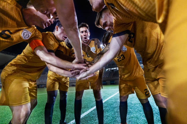 媒体互动等 媒体互动等