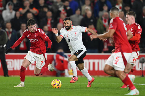 的殘酷競爭 的殘酷競爭