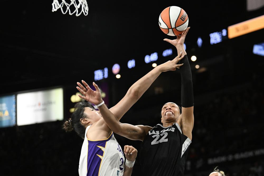 自然滑雪条 自然滑雪条